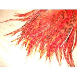  Orange Grizzly Feather Hair Extensions Beauty