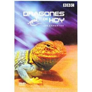 BBC   DRAGONES DE HOY LOS EXPERTOS [*Ntsc/region 0 Dvd. Import latin 