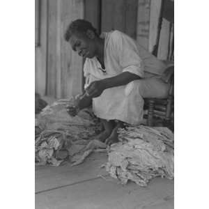  Black Sharecropper sorts tobacco leaves 16X24 Canvas 