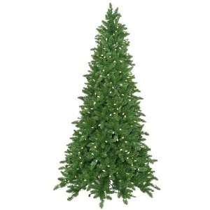 Vickerman christmas Trees K886076 7.5 x 52 Ashley 400White C6 LED 