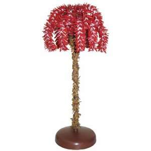 Saint Johns Red Storm Decorative Palm Tree (Multiple Sizes Available)