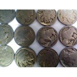   of 40 Each  ALL Dateless Buffalo Nickels 1913 1938 