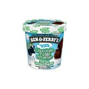 Ben and Jerrys Chocolate Fudge Brownie Frozen Yogurt, Size Per Pint 