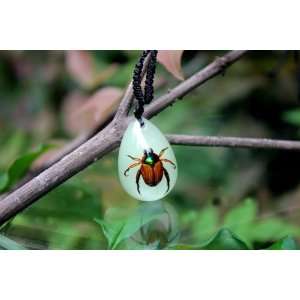 com Real Amber Insect Necklace Jewelry Leaf Beetle (Glow in the Dark 