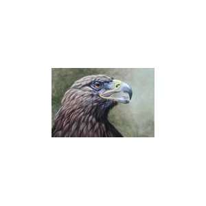   Tile, Wild Animals, Golden Eagle, 8x12, 31187 By ACK