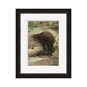  American Beaver Sitting On A Freshly Gnawed Log Framed 