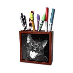 Sandy Mertens Cat Designs   B&W Black Cat Yawning   Tile Pen Holders 5 
