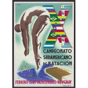  X campeonato Sudamericano de natacion,Febrero 1949 