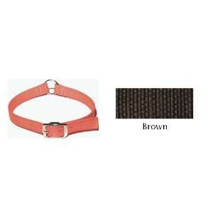 Hallmark 51723 1 Inch Wide Safety Collar with Reflective Strip   Brown 