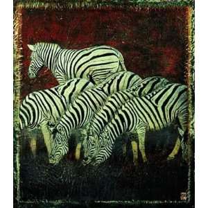  Troupe Of Zebras Poster Print