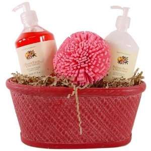  Asquith Somerset Hand Wash Lotion Gift Basket with Sponge 