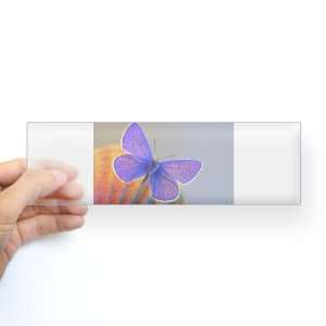  Bumper Sticker Clear Xerces Purple Butterfly Everything 