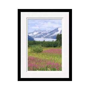  Mendenhall Glacier Juneau Alaska Framed Giclee Print
