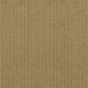  48 Wide 16 Wale Stretch Corduroy Fawn Brown Fabric By 