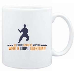 New  To Karate Or Not To Karate , What A Stupid Question  Mug Sports 