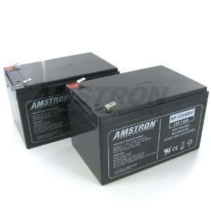  Amstron AP 12140EV Deep Cycle Battery (2 pk) Electronics