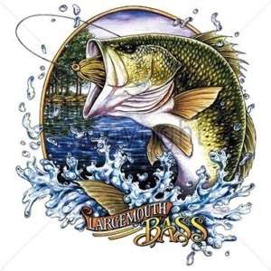 LargeMouth Bass Fishing T Shirt All Sizes & Colors  