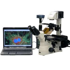 40X 900X Phase Contrast Fluorescence Inverted Microscope w/ 5MP CCD 