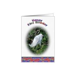  93rd Birthday Card with Snowy Egret in Water Card Toys 