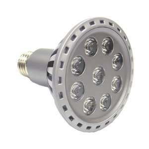  9W LED Energy Saving Floodlight & PAR 30 Light   Warm 