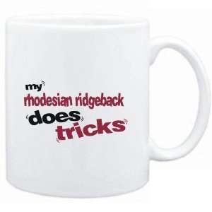   White  MY Rhodesian Ridgeback DOES TRICKS  Dogs