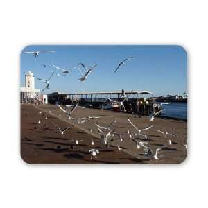 A flock of seagulls at North Shields fish   Mouse Mat 