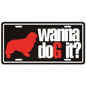   Cavalier King Charles Spaniels / Wanna Dog It ?  License Plate Dog