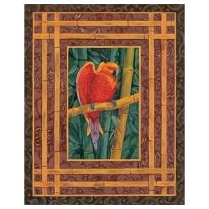   Mandarine Lovebird   Artist Paul Brent   Poster Size 16 X 20 inches