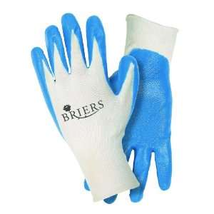  Seedling   Blue Coated Gloves   Large Patio, Lawn 