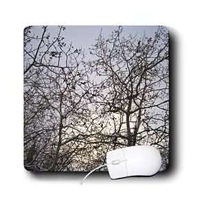   Silhouetted Against a Gunmetal Winter Sky   Mouse Pads Electronics