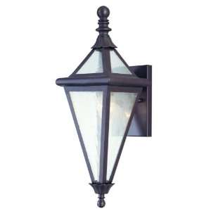  Troy Lighting BCD8997OR Geneva Outdoor Sconce, Old Rust 