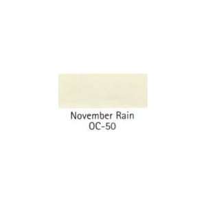   PAINT COLOR SAMPLE November Rain OC 50 SIZE2 OZ.