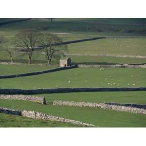 Stone Walls, Malham and Wharfedale, Yorkshire, England, United Kingdom 