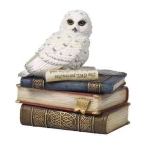  White Snow Owl On Books Trinket Box