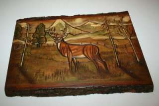 WoodBurning Art Chiseled Colored Deer Wood Plank Plaque  