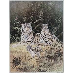 Chiu   White Tiger Cubs Size 6x8 by T.C. Chiu 6x8  