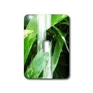 Florene Water Abstract   Plant Splash   Light Switch Covers   single 