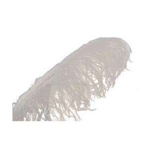  Midwest Design Ostrich Plume Feathers 1/Pkg White MD38167 
