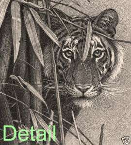 Wildlife Art Signed Limited Edition Print Picture Pencil Drawing 