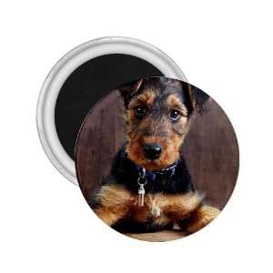  Airedale Terrier Puppy Dog 2.25in Magnet R0003 Everything 