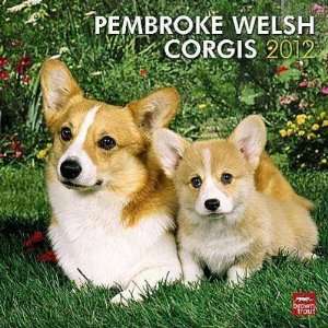  Pembroke Welsh Corgis 2012 Wall Calendar