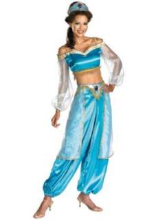  Aladdins Princess Jasmine Costume Disney Movie Costumes 