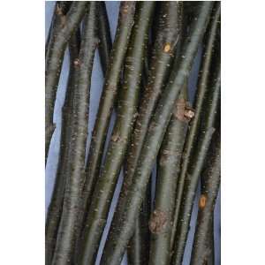  Alder Sticks/Twigs Furniture Crafts 3/4 to 1 1/2 x 48 