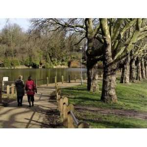  Hampstead Ponds, Hampstead Heath, London, England, United 