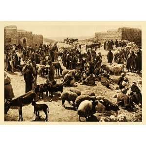  1925 Bethlehem Market Sheep People Lehnert & Landrock 