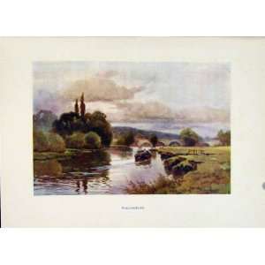 Wallingford Windsor Painting By Haslehust C1920 Antique 