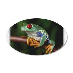  38.5x24.5O Wall Vinyl Sticker Red Eyed Tree Frog 