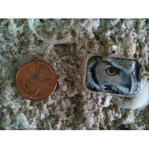  Owl Altered Art Resin Pendant Charm (5069 P) Everything 