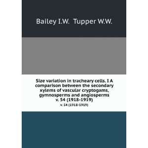   gymnosperms and angiosperms. v. 54 (1918 1919) Bailey I.W. Tupper W.W