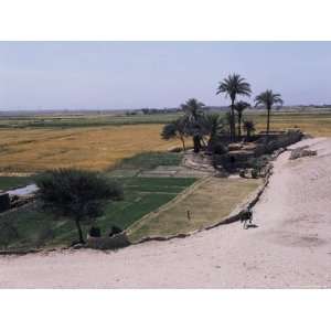  Landscape Near Luxor, Egypt, North Africa, Africa 